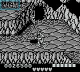 In-game screen of the game Battletoads in Ragnarok's World on Nintendo Game Boy