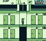 In-game screen of the game Taito Variety Pack on Nintendo Game Boy
