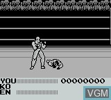 In-game screen of the game Fighting Simulator - 2-in-1 Flying Warriors on Nintendo Game Boy