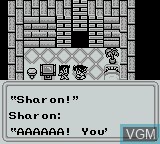 In-game screen of the game Final Fantasy Legend III on Nintendo Game Boy