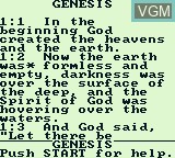 In-game screen of the game NIV Bible & the 20 Lost Levels of Joshua on Nintendo Game Boy
