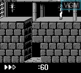 In-game screen of the game Prince of Persia on Nintendo Game Boy