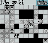 In-game screen of the game Panel no Ninja Kesamaru on Nintendo Game Boy