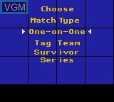 Menu screen of the game WWF Raw on Sega Game Gear