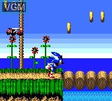 In-game screen of the game Sonic Blast on Sega Game Gear