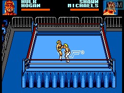 In-game screen of the game WWF WrestleMania - Steel Cage Challenge on Sega Game Gear
