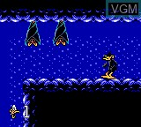 In-game screen of the game Daffy Duck in Hollywood on Sega Game Gear