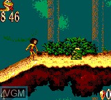 In-game screen of the game Jungle Book, The on Sega Game Gear