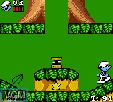 In-game screen of the game Smurfs, The on Sega Game Gear