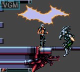 In-game screen of the game Wolfchild on Sega Game Gear