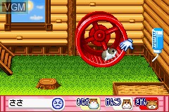 In-game screen of the game Hamster Paradise Advanchu on Nintendo GameBoy Advance