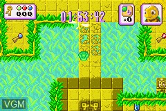 In-game screen of the game Turbo Turtle Adventure on Nintendo GameBoy Advance