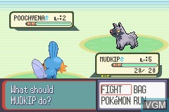 In-game screen of the game Pokemon Ruby Version on Nintendo GameBoy Advance