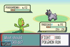 In-game screen of the game Pokemon Sapphire Version on Nintendo GameBoy Advance
