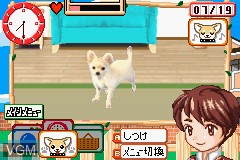 In-game screen of the game Koinu to Issho! Aijou Monogatari on Nintendo GameBoy Advance