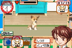 In-game screen of the game Kawaii Pet Game Gallery on Nintendo GameBoy Advance