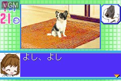 In-game screen of the game Koinu to Issho 2 - Aijou Monogatari on Nintendo GameBoy Advance