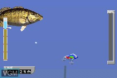 In-game screen of the game ESPN Great Outdoor Games Bass 2002 on Nintendo GameBoy Advance