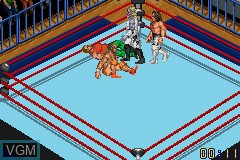 In-game screen of the game Fire Pro Wrestling 2 on Nintendo GameBoy Advance