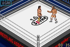 In-game screen of the game Fire Pro Wrestling A on Nintendo GameBoy Advance