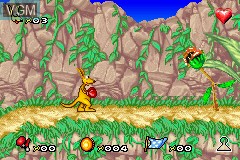 In-game screen of the game Kao the Kangaroo on Nintendo GameBoy Advance
