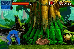 In-game screen of the game Kong - The Animated Series on Nintendo GameBoy Advance