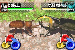 In-game screen of the game Konchuu Ouja Mushiking - Greatest Champion e no Michi on Nintendo GameBoy Advance