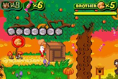 In-game screen of the game Berenstain Bears and the Spooky Old Tree, The on Nintendo GameBoy Advance