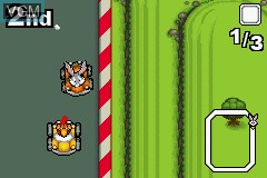 In-game screen of the game Looney Tunes - Double Pack - Dizzy Driving / Acme Antics on Nintendo GameBoy Advance