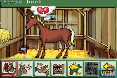 In-game screen of the game Let's Ride! Sunshine Stables on Nintendo GameBoy Advance
