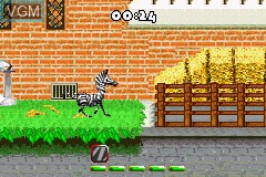 In-game screen of the game Madagascar on Nintendo GameBoy Advance