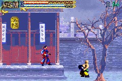 In-game screen of the game Crouching Tiger, Hidden Dragon on Nintendo GameBoy Advance