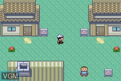 In-game screen of the game Pokemon Ruby Version on Nintendo GameBoy Advance
