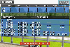 In-game screen of the game Premier Manager 2003-04 on Nintendo GameBoy Advance