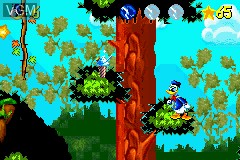In-game screen of the game Donald Duck Advance on Nintendo GameBoy Advance