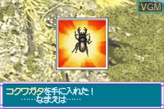 In-game screen of the game Boku no Kabuto - Kuwagata on Nintendo GameBoy Advance