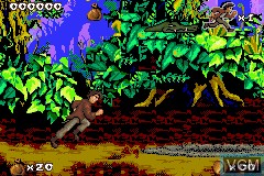 In-game screen of the game Pitfall - The Mayan Adventure on Nintendo GameBoy Advance