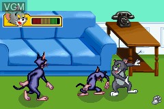 In-game screen of the game Tom and Jerry - The Magic Ring on Nintendo GameBoy Advance