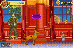 In-game screen of the game 2 Games in 1 - Scooby-Doo + Scooby-Doo 2 - Desatado on Nintendo GameBoy Advance