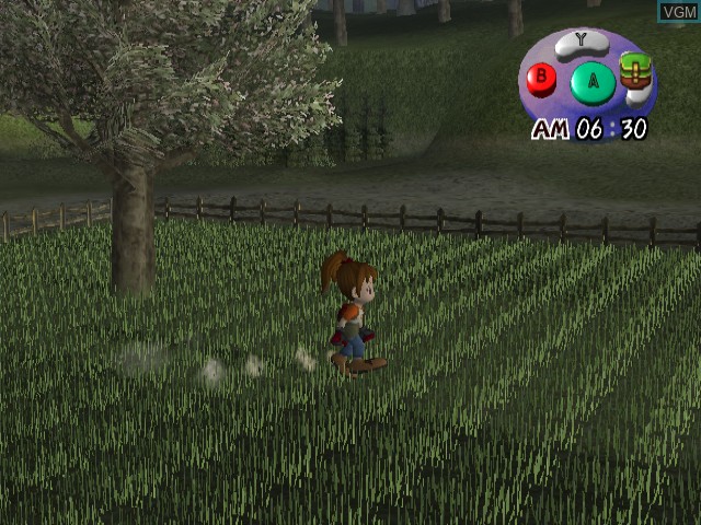 In-game screen of the game Harvest Moon - Another Wonderful Life on Nintendo GameCube