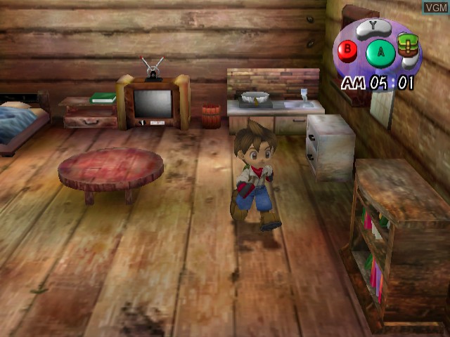 In-game screen of the game Harvest Moon - A Wonderful Life on Nintendo GameCube