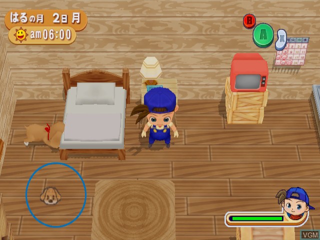 In-game screen of the game Bokujou Monogatari - Shiawase no Uta on Nintendo GameCube