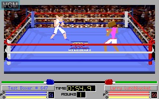 In-game screen of the game 4-D Boxing on MS-DOS