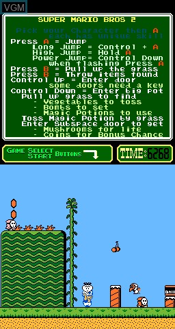 In-game screen of the game PlayChoice-10 - Super Mario Bros. 2 on MAME
