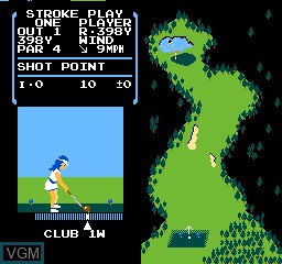 Vs. Stroke and Match Golf