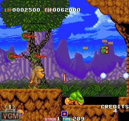 In-game screen of the game Toki on MAME