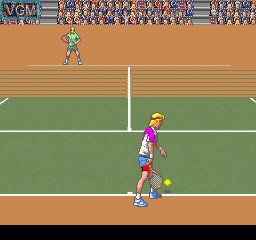 In-game screen of the game Nintendo Super System - David Crane's Amazing Tennis on MAME