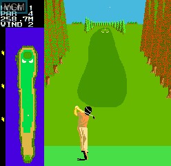 In-game screen of the game Competition Golf Final Round on MAME