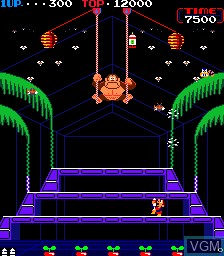 In-game screen of the game Donkey Kong 3 on MAME