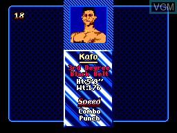 Menu screen of the game Pit-Fighter on Sega Master System